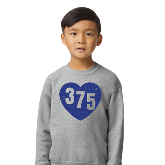 375 💙💛 Youth