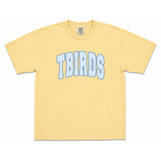 TBird Stripes Light Blue