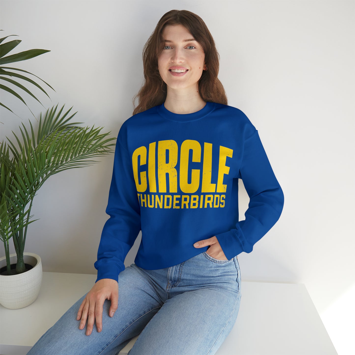 Circle Thunderbirds 2, Unisex Heavy Blend™ Crewneck Sweatshirt