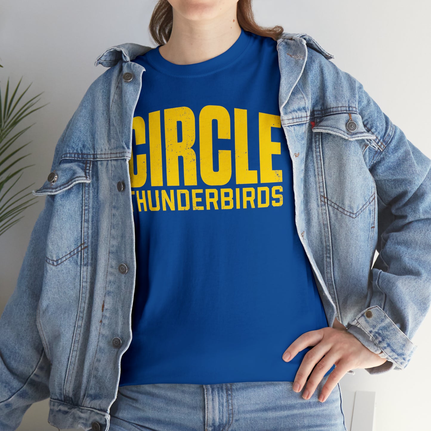 Circle Thunderbirds 2, Unisex Heavy Cotton Tee