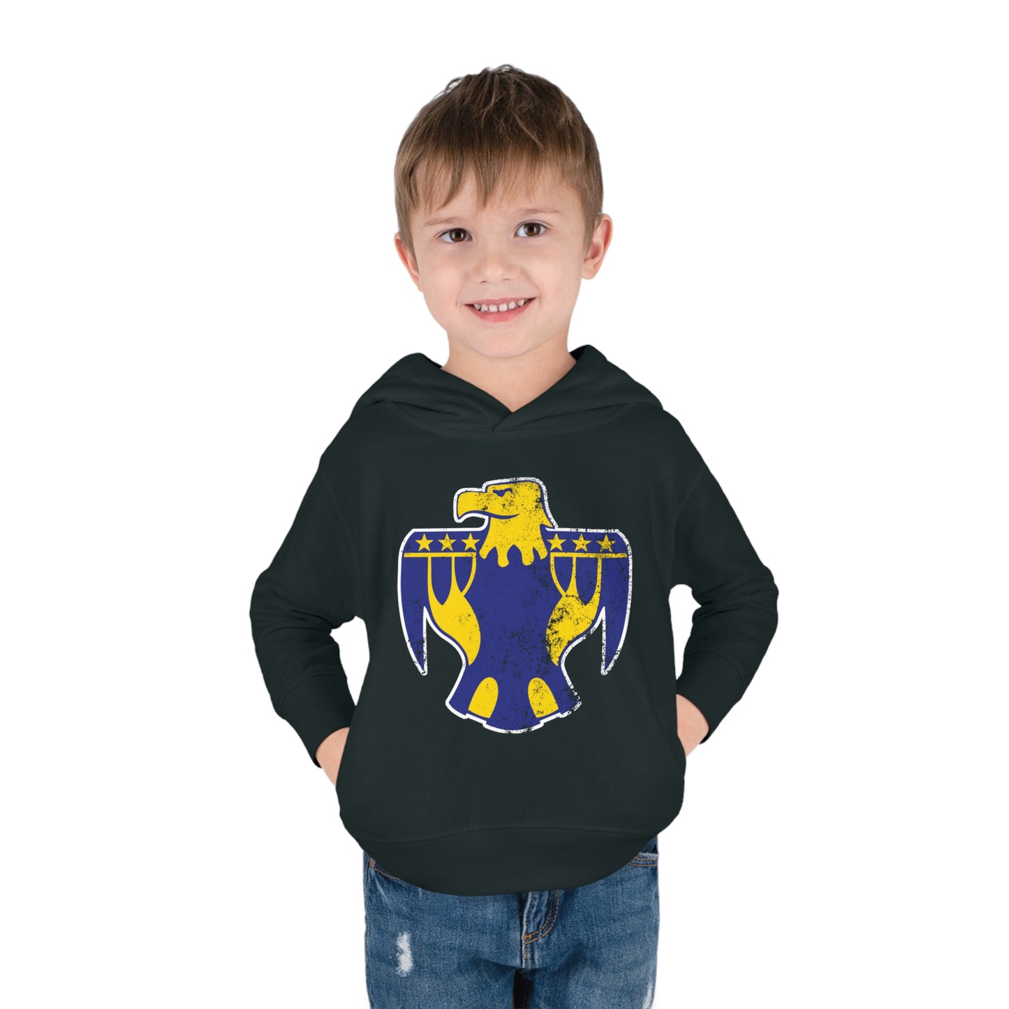 XL Thunderbird, Toddler Pullover Fleece Hoodie