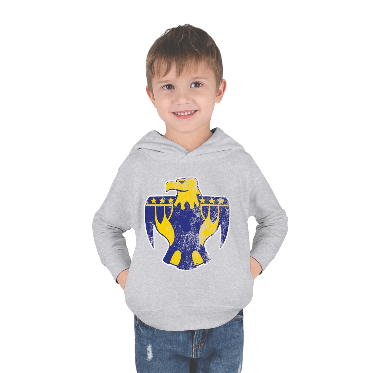 XL Thunderbird, Toddler Pullover Fleece Hoodie