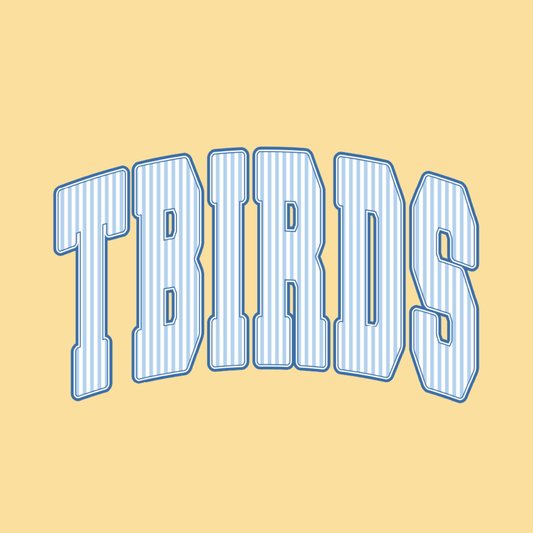 2: TBird Stripes