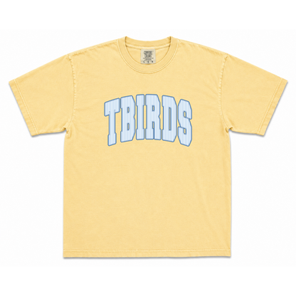 TBird Stripes Light Blue