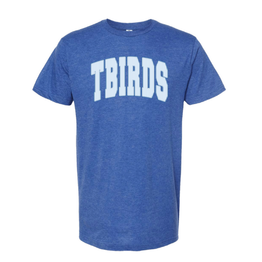 2: TBird Stripes