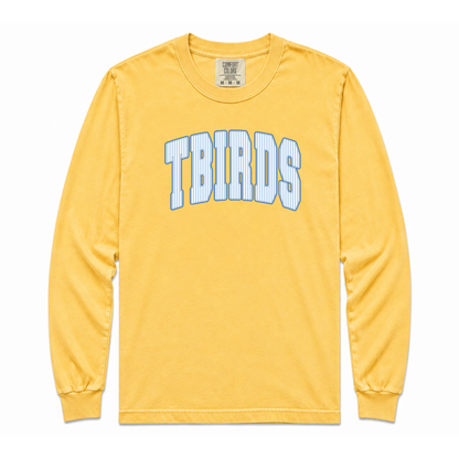 TBird Stripes Light Blue