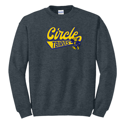 Circle TBirds Vintage Thor Crew & Hoodies