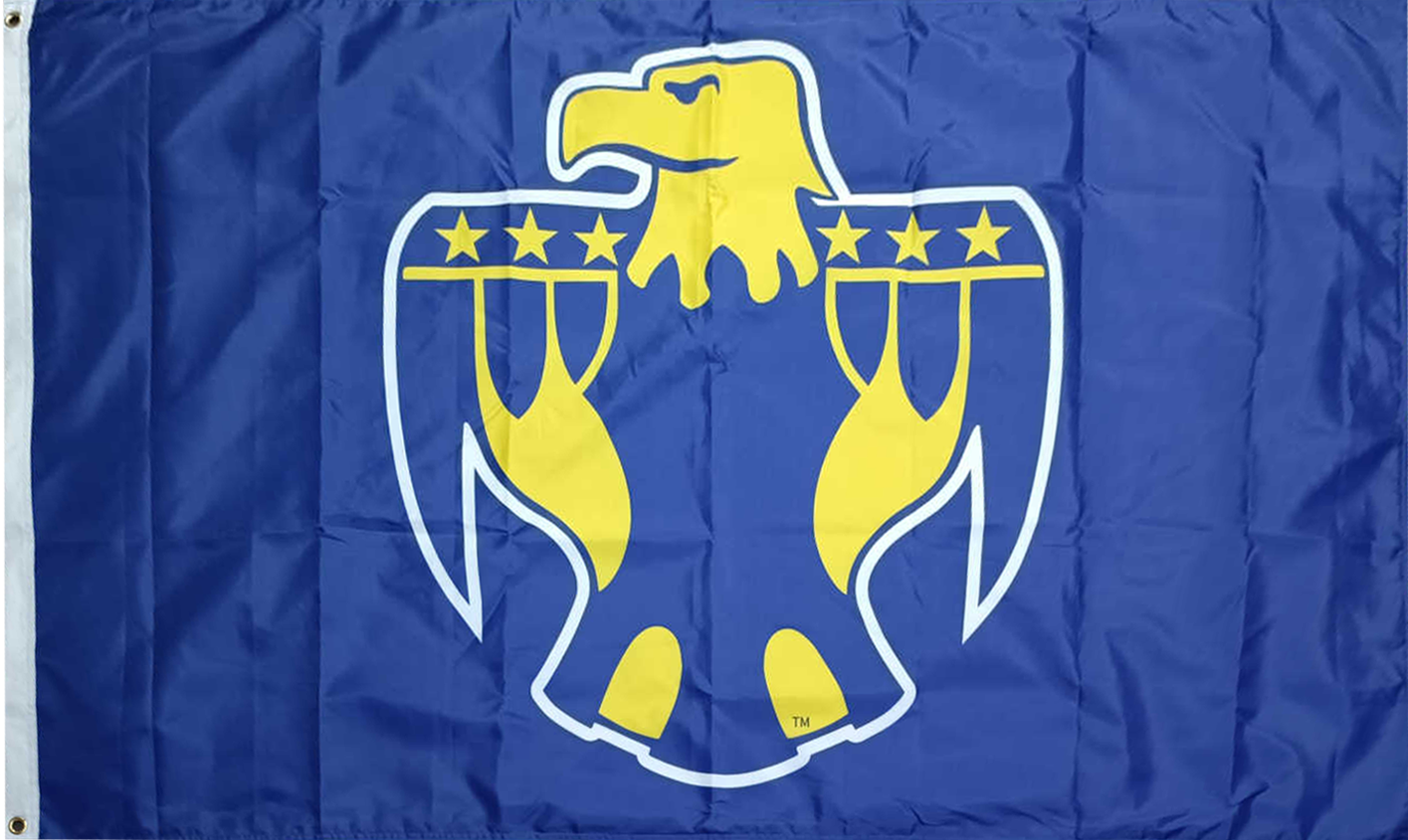 District Office TBird Flag