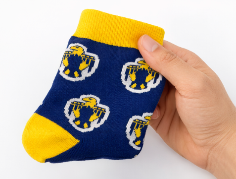 Circle Thunderbirds Crew Socks