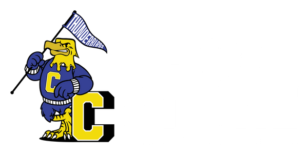 Thor Store