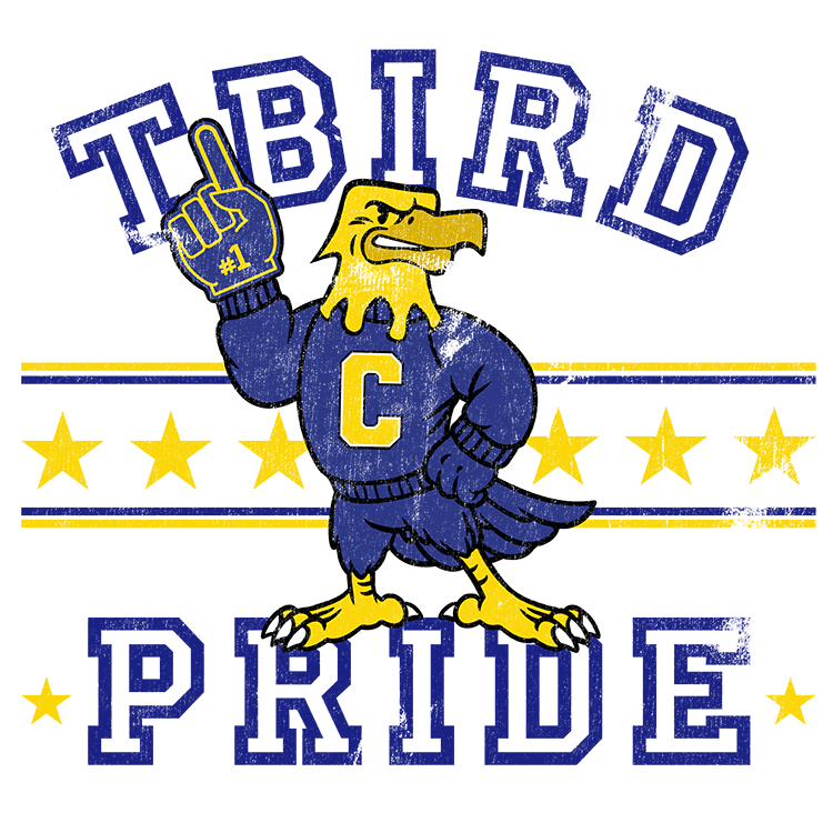 District Office Long Sleeve TShirt