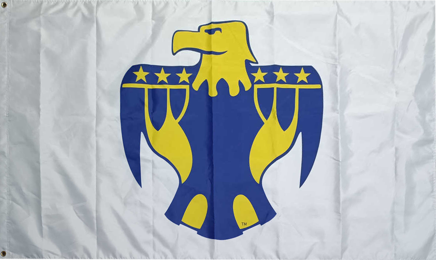 District Office TBird Flag