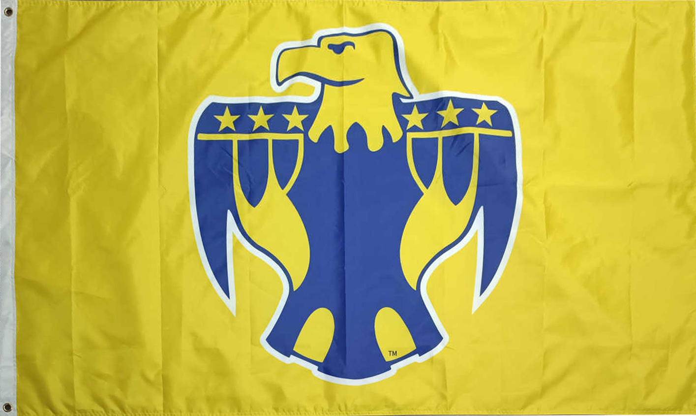 District Office TBird Flag